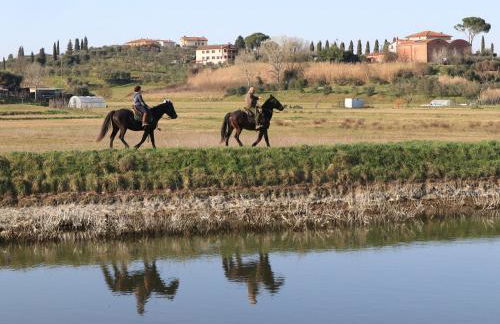Casale Gli olivi di Dino - Foto 48