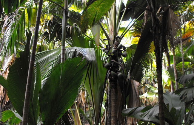 Villa Belle Plage - Photo 36