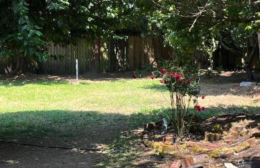 Art and Book Lovers - Photo 13