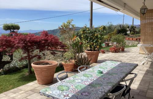 Villa l'Uliveta - Foto 40