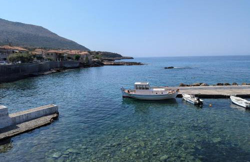 kipaki-trachila Mani - Foto 43