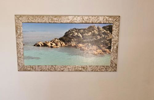 La flabellina blu - Foto 47