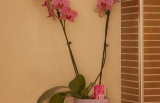 Green Park Apartments - Foto 72