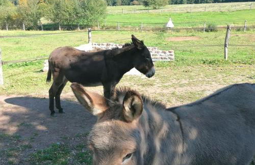 les hortensias La Souris Des Champs - Foto 21