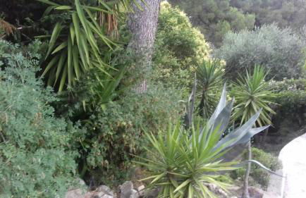 palayson two - Foto 10