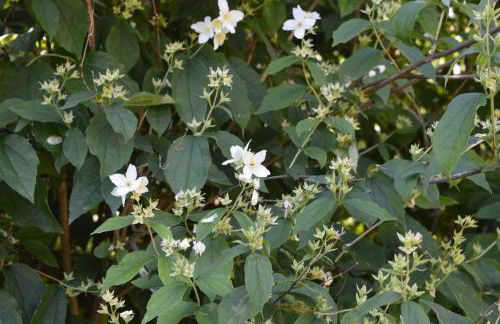 Rectoría de Castellar - Foto 40