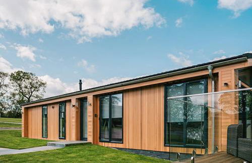 Nash - Uk51101 - Foto 10