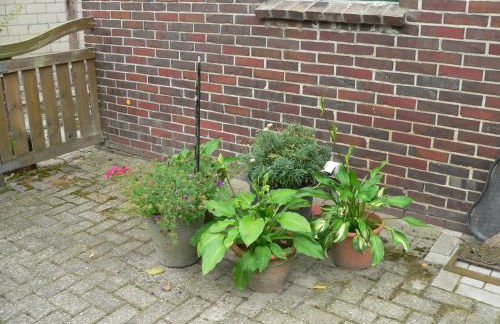 Ferienhaus Zum grünen Holz - Foto 6