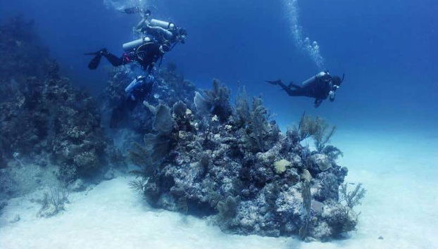 Xcalak Scuba Diving - Foto 2