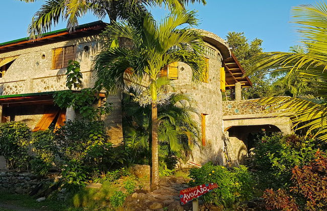 Citrus Creek Plantation - Photo 1