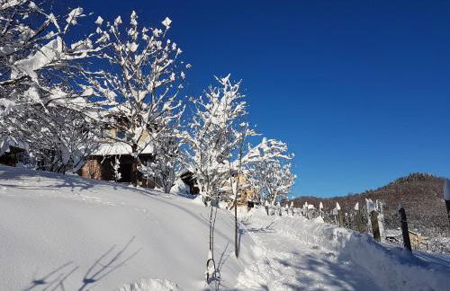 Casa Vacanze Le Primule - Foto 14