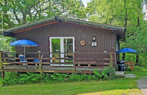 Owls About - Uk6756 - Photo 1