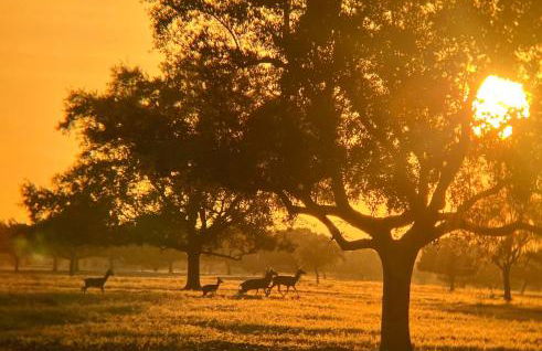 La Carpintería - Foto 22