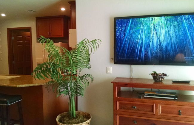 Las Palomas Topaz 302 Apartment 2 - Foto 9