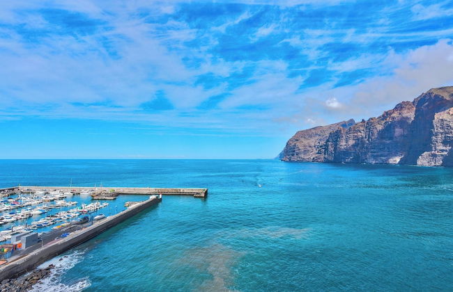 Los Gigantes Sea View - Photo 24