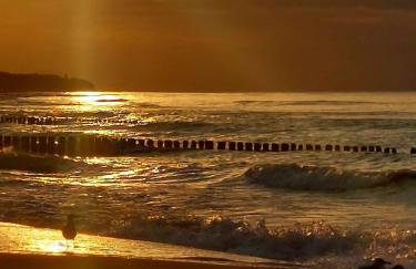 Chatki u Patki - Photo 16