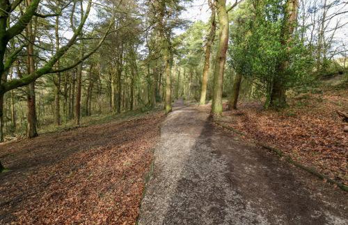 Rock Hollow - Foto 41