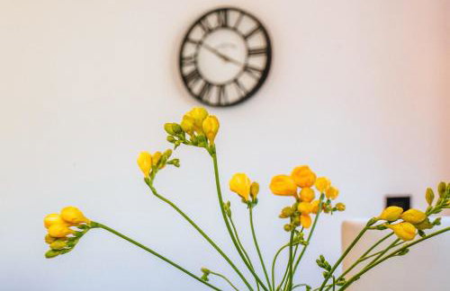 Roko Opaćac Veli IŽ,otok Iž - Foto 20