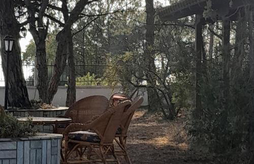 Costa Mama VIlla - Photo 48