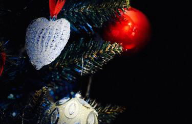 Castiello B&B - Foto 35