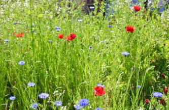 The Byre - Beautiful Contemporary Barn - Hot Tub - Foto 48