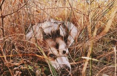Za Lasem Nad Wodą - Foto 48
