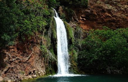 Casinha de messines - Foto 15