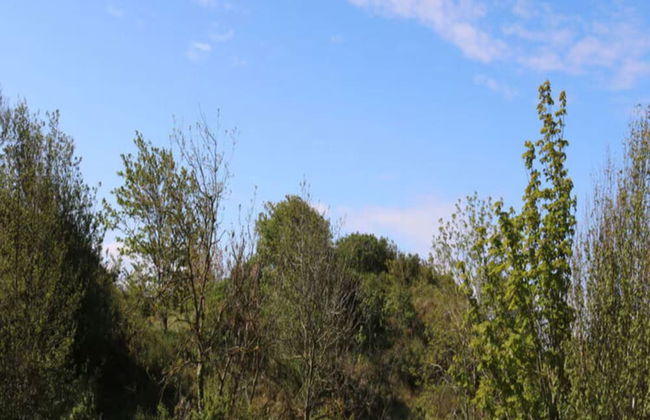 Borkum Ideal 71 A Comfortable Holiday Residence - Foto 16