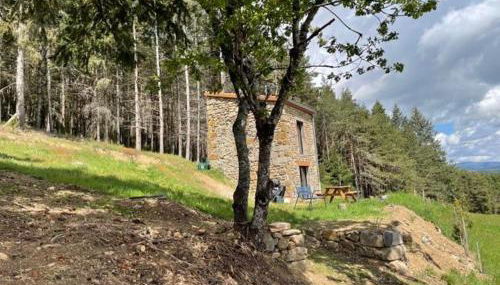 Maison de vigne rénovée à Langeac, nature et randonnées - FR-1-582-86 - Foto 2