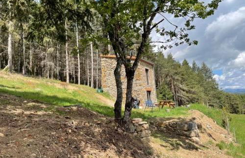 Maison de vigne rénovée à Langeac, nature et randonnées - FR-1-582-86 - Foto 2