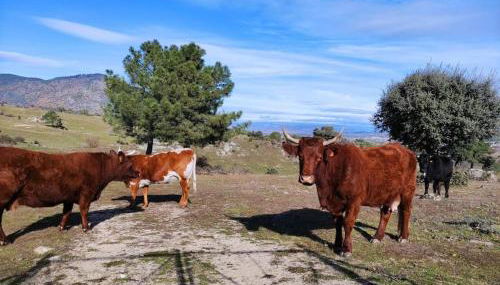 Disfrutando la zona - Photo 4