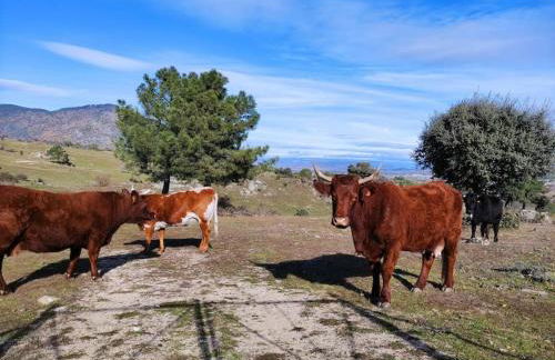 Disfrutando la zona - Photo 4