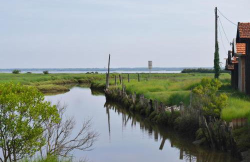 Au cœur du Bassin d'Arcachon - Foto 39