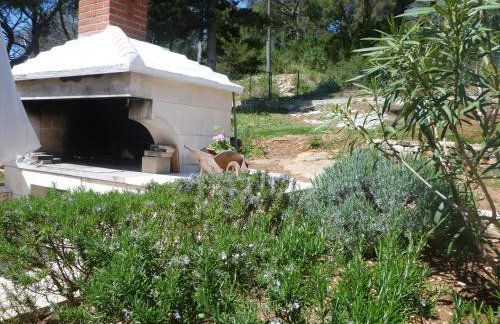 Villa Katja - Photo 61