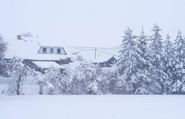 Wohnung bei Kuehlungsborn mit Garten - Foto 17