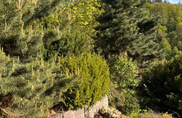 kleines Harz-Chalet - Foto 19