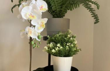 Sea&Beach Arrecife - Foto 14