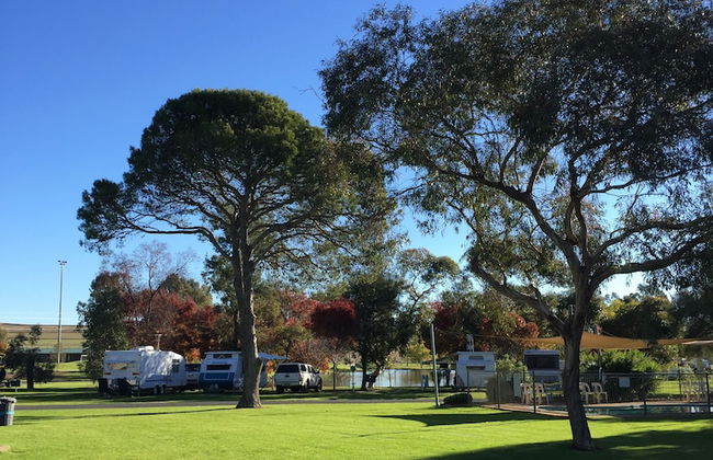 Junee Tourist Park - Photo 67