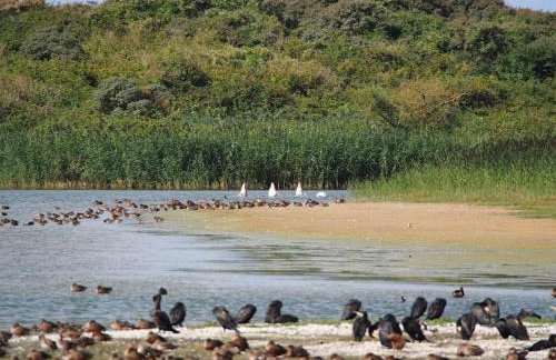 La Baie l étoile - Foto 31