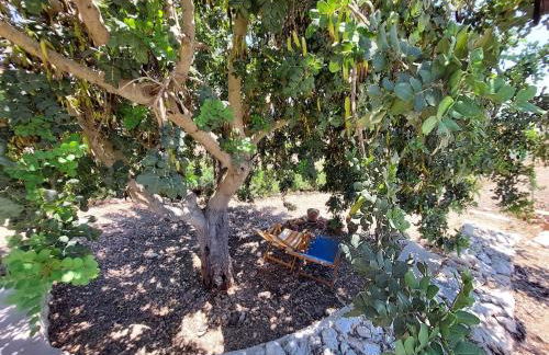 Casa Palombara - Healiday in Torre Salsa - Foto 59