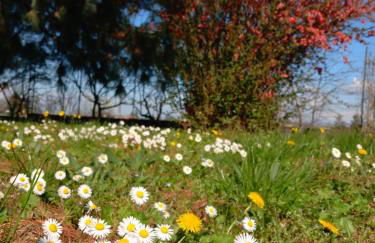 La Casa di Gio ed Eli - Foto 15