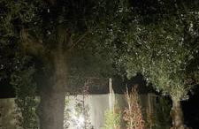 Casa d´Abela - Foto 37