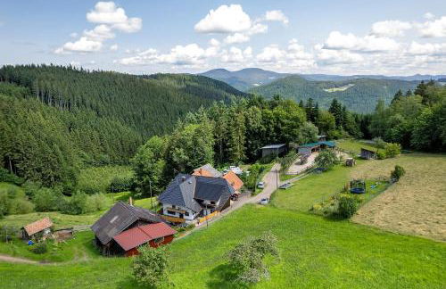 Ferien auf der Fleischdielte - Foto 33