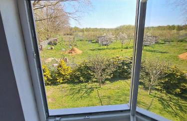 Ferienwohnung Müller - Foto 30