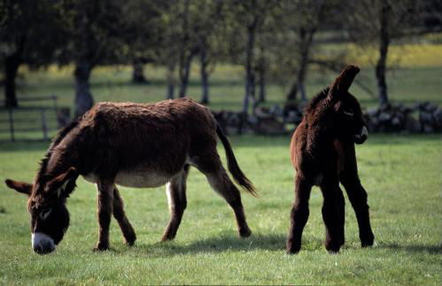 Casa de l Bárrio - Foto 61