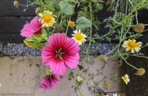 Stag Cottage - Photo 42