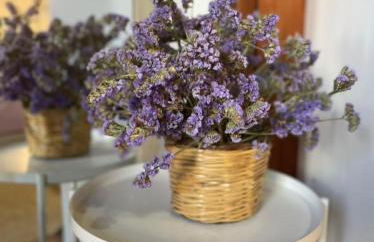 Sofia Skyros - Photo 6