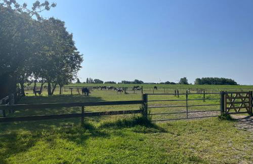 Ferienhof Reimers - Foto 4