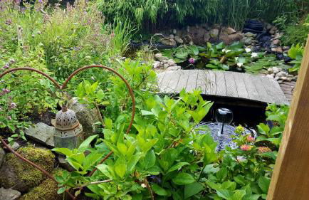 FeWo Auszeit - Foto 15