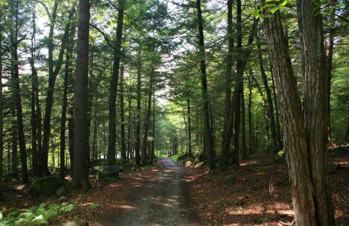 Spacious, Sunny Lake House! Close to ski trails. - Foto 33